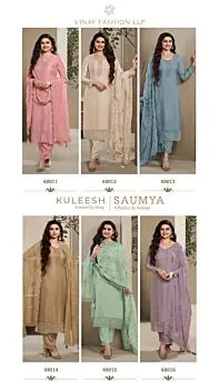 VINAY KULEESH SAUMYA