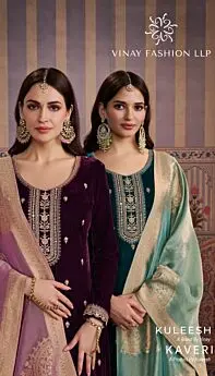 VINAY KULEESH KAVERI