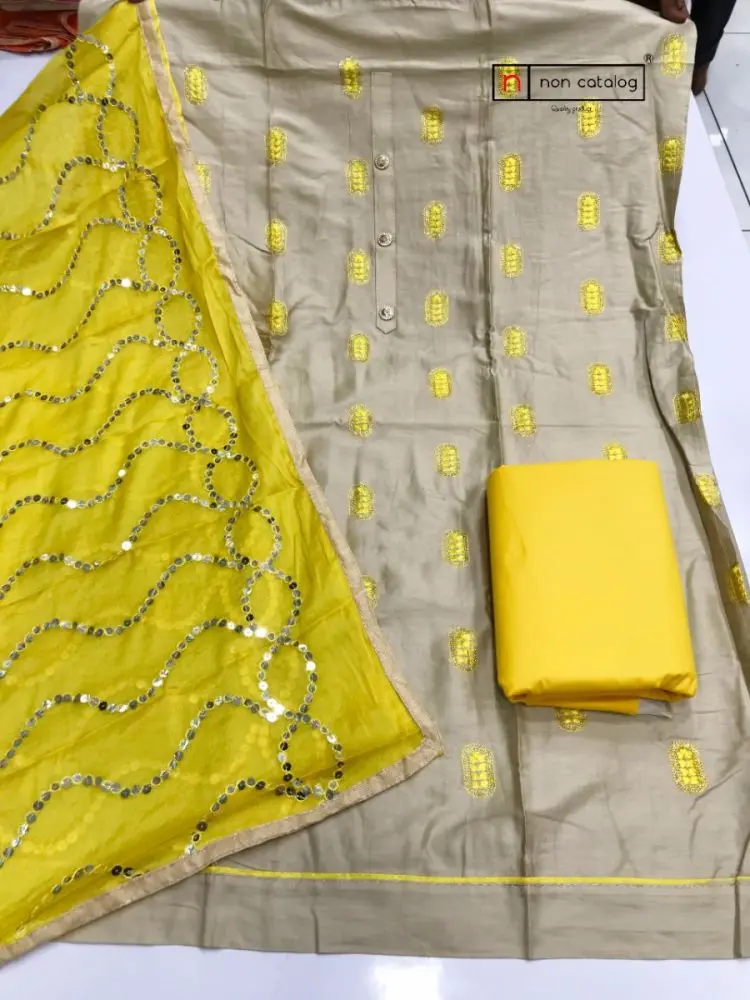 Dupatta and Top Work 118