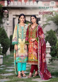 RIAZ ARTS Guzarish