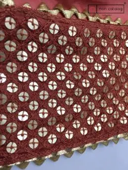 Dupatta and Top Work 113