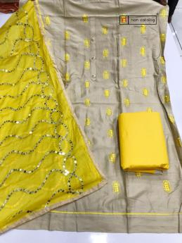 Dupatta and Top Work 118