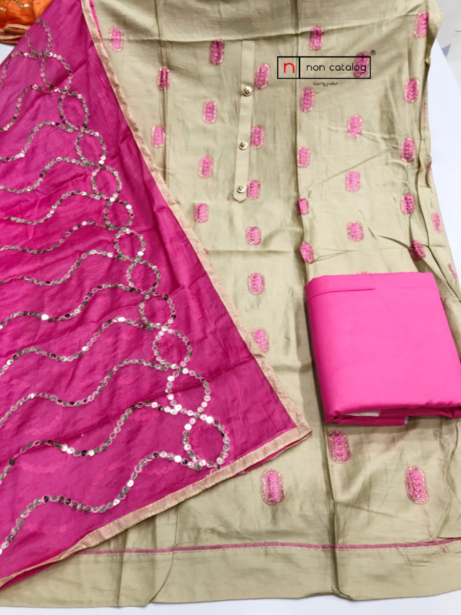 Dupatta and Top Work 118